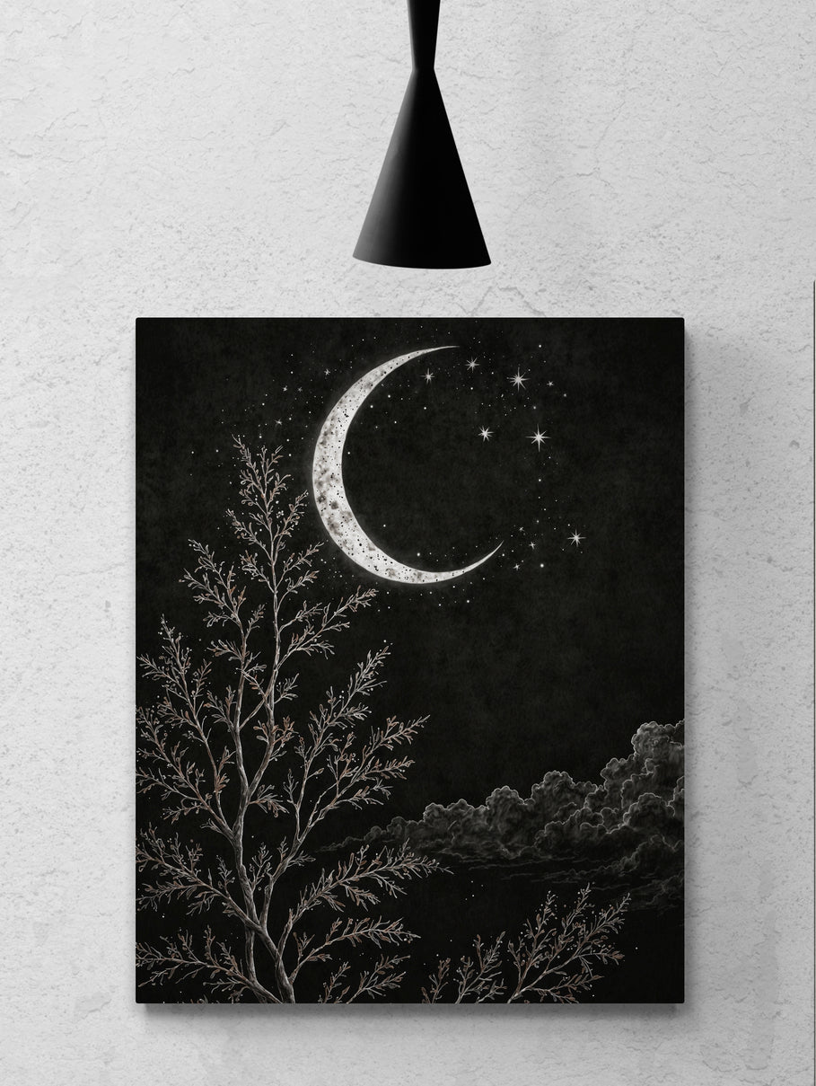 Midnight - Canvas Art