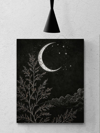 Midnight - Canvas Art