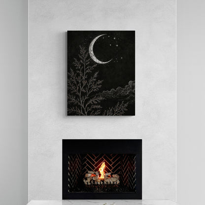 Midnight - Canvas Art